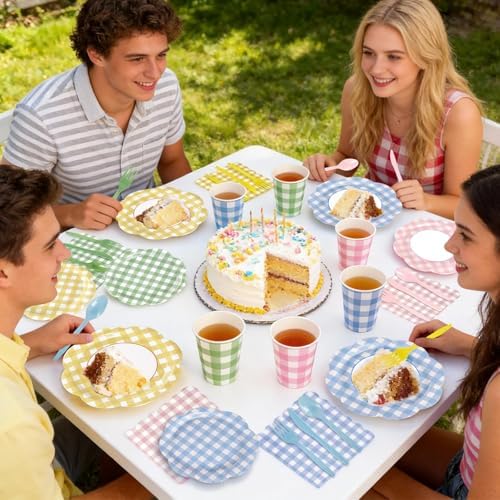 168Pcs Gingham Paper Plates and Napkins Set in 4 Colors for 24 Guests - Image 6