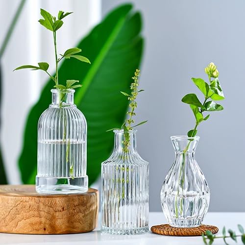 Clear Flower Vase Set, Glass Bud Vase in Bulk Set of 8 - Image 5