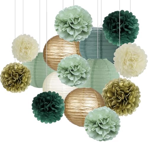 zilue Paper Lanterns and Paper Pom Poms Sage Green Party Decorations 15pcs by zilue