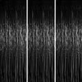 Voircoloria Foil Fringe Backdrop Curtains, 3.3x6.6ft,Black, 3pcs by Voircoloria