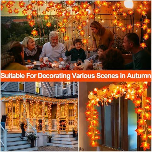 Timer - 2 Pack Fall Garland with Lights Total 20Ft 40LED Battery Operated - Image 6