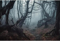 10x7ft Dark Misty Forest Backdrop for Photoshoot Scary Halloween Eve Gloomy Grove Evil Trees Background for Photography Party Banner Portrait Studio Props by CRTPODHomeDecor