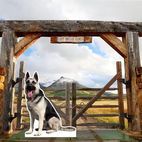 German Shepherds 4FT Life Size Cardboard Cutout, 1 PC - Image 6