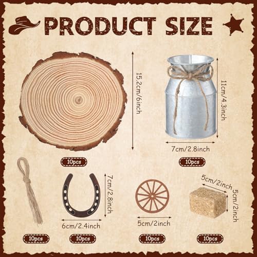 30 Pcs Western Party Decorations Mini Horseshoe Wagon Wheel Hay Bales Crafts Wooden Plate Farmhouse Vase Table Centerpieces Supplies for Western Birthday Wedding Party Favors Decor (Silver) - Image 2