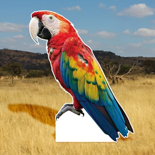Parrot 5FT Life Size Cardboard Cutout, 1 PC - Image 4