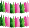 Pink and Green Tissue Paper Tassels Party Tassel Garland Banner for Hawaiian Summer Tropical Theme Party Birthday Wedding Decorations, DIY Kits,20PCS by We+Moment
