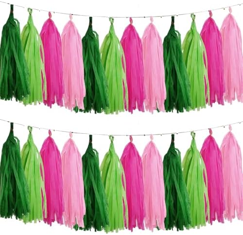 Pink and Green Tissue Paper Tassels Party Tassel Garland Banner for Hawaiian Summer Tropical Theme Party Birthday Wedding Decorations, DIY Kits,20PCS by We+Moment