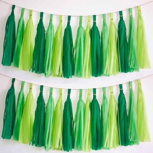We Moment Green Light Tissue Paper Tassels Party Tassel Garland Banner for Green Party Decorations, DIY Kit, 15PCS by We+Moment