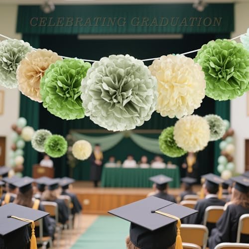 Sage Green Tissue Paper Pom Pom Flowers Decorations 15 PCS Olive Green Paper Flowers for Wall Hanging Backdrop Neutral Baby Shower Wedding Party Supplies Birthday Bridal Decor Table Centerpieces - Image 5