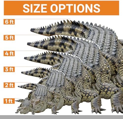 Crocodile 1FT Life Size Cardboard Cutout Animal Standup, 1 PC - Image 3