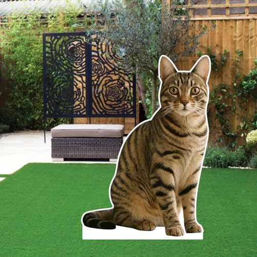 Chinese Li Hua Cat 3FT Life Size Cardboard Cutout, 1 PC - Image 4