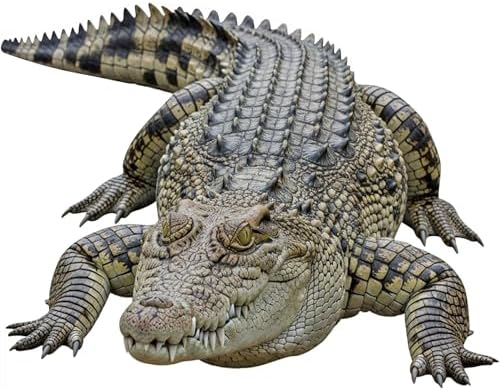 Crocodile Cardboard Cutout, 2FT Life Size Animal Standup, 1 PC by Unknown