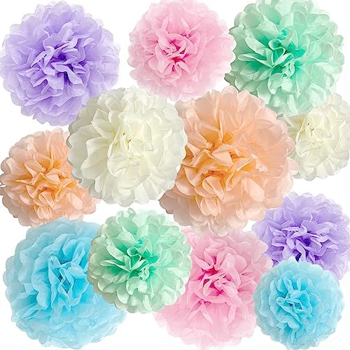 ANSOMO Pastel Tissue Paper Pom Poms Colorful Birthday Party Decorations by ANSOMO