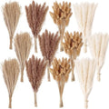 300 PCS Dried Flower Bouquet – Pampas Grass, Floral Decor for Home, Wedding, and Boho Style | Perfect for Vases, Fall, Spring, Summer, and Winter Arrangements by ANPROOR