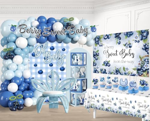 Blueberry Baby Shower Decorations, All-in-One Decor Set - Image 3