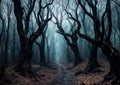 20x10ft Halloween Forest Backdrop Haunted Mist Forest Witch Creepy Scene Dark Pathway Scary Trees Spooky Foggy Woods Background for Halloween Birthday Party Decorations Photo Booth Studio Props by Etsyoki