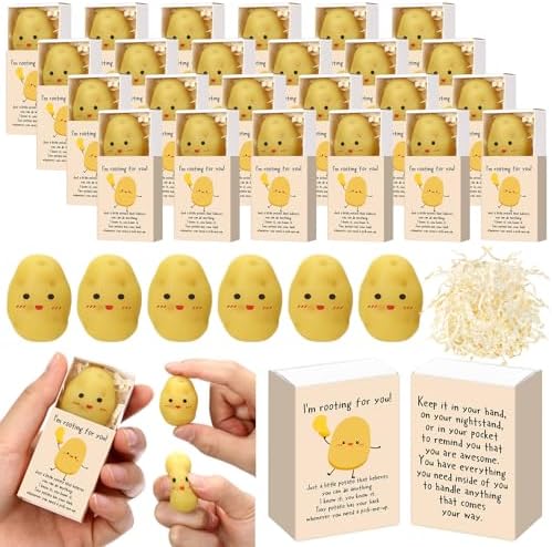 24 Sets Inspirational Gift Appreciation Party Favors with Support Boxes by Wettarn