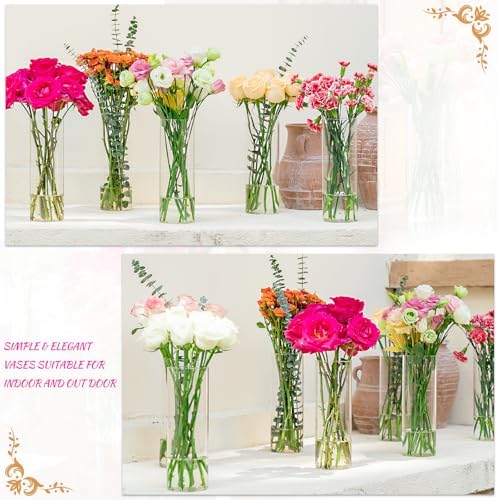 7pcs Glass Cylinder Vases for Centerpieces - 10 Inch Tall Glass Vases for Flower, Clear Flower Vase Bulk Floating Candle Vase for Table Centerpiece Wedding Home Décor - Image 6