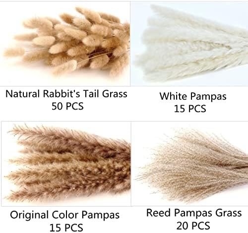 Dried Pampas Grass Decor, 100 Stems Pampas Grass Contains Bunny Tails Dried Flowers, Reed Grass Bouquet for Wedding Boho Flowers Home Table Decor, Rustic Farmhouse Party (17", White and Brown) - Image 4