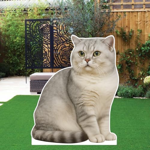 Silver British Shorthair Cat 2FT LifeSize Cardboard Cutout, 1PC - Image 4