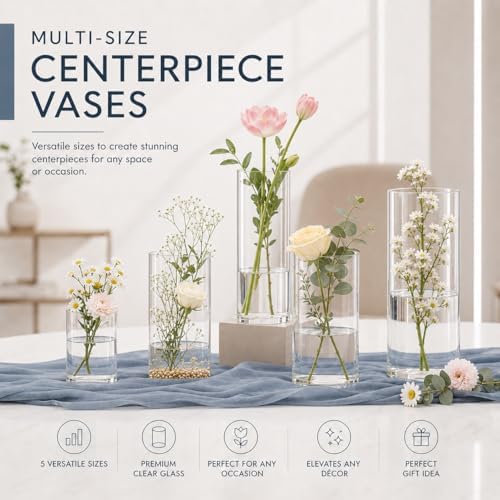 5pcs Glass Vase Cylinder Vases for Centerpieces 4,6,7.5,8,10 Inch Tall Small Flower Glass Vases Home Decor Centerpiece Table Clear Flower Vase Decorations for Wedding＆Holiday - Image 3