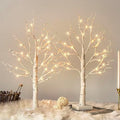 Vanthylit White Birch Tree with LED Lights - Set of 2, Tabletop Tree with Timer, Christmas Decorations Lighted Tree for Indoor Mantel Home Decor (2 FT, 24 LED) by Vanthylit