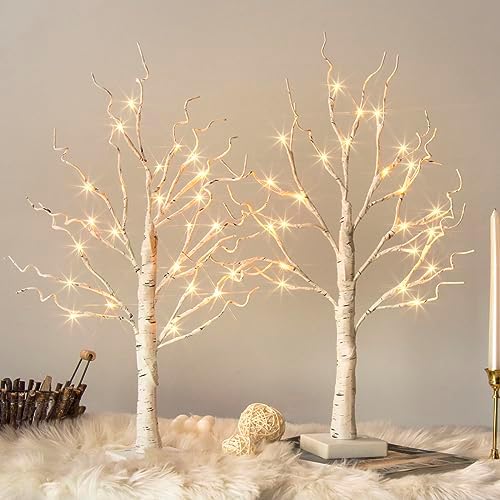 Vanthylit White Birch Tree with LED Lights - Set of 2, Tabletop Tree with Timer, Christmas Decorations Lighted Tree for Indoor Mantel Home Decor (2 FT, 24 LED) by Vanthylit