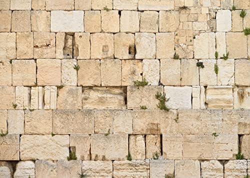 BELECO 7x5ft Fabric Western Wall Backdrop - Jerusalem Wailing Wall, Old City of Israel - Judaism Spirituality Worship Religious Church Event Room Decor Photo Booth Studio Props by BELECO
