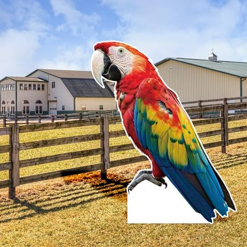 Parrot 3FT Life Size Cardboard Cutout, 1 PC - Image 6
