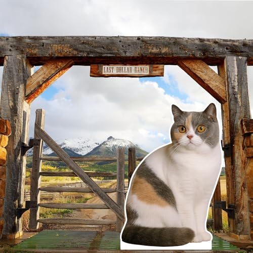 Calico Cat 2FT Life Size Cardboard Cutout Standup, 1 PC - Image 6