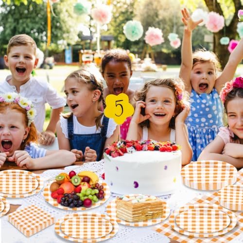 180Pcs Orange Gingham Party Supplies Paper Plates and Napkins Serve 60 - Image 5