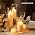 Sandraheer 24 Ivory Pillar Candles and Ribbed Hurricane Glass Candleholder - Image 7