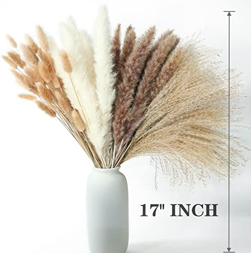 300 PCS Dried Flower Bouquet – Pampas Grass, Floral Decor for Home, Wedding, and Boho Style | Perfect for Vases, Fall, Spring, Summer, and Winter Arrangements - Image 3