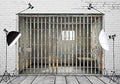 BELECO 6x6ft Fabric Prison Cell Backdrop Jail Bars Background by BELECO