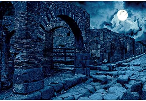 Renaiss 10x8ft Stone Town Backdrop Full Moon Dark Blue Cloudy Night Photography Background Bleak Vintage Punk Gothic Photo Studio Live Room Prop Video Supplies Boy Girl Kids Cool Portraiture Decor by Renaiss