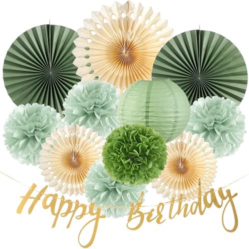 SUNBEAUTY Sage Green Birthday Decorations for Women Green Tissue Pom Poms Paper Lanterns Party Decorations Happy Birthday Banner Sage Green Paper Fans for Spring Garden Party Wedding Bridal Shower by SUNBEAUTY