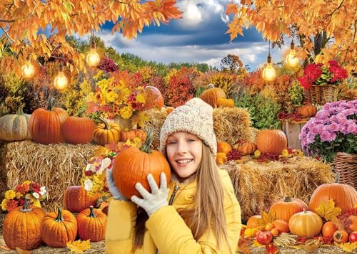 Autumn Pumpkin Backdrop Hay Bale Farm Fall Harvest Photography Background - Image 3