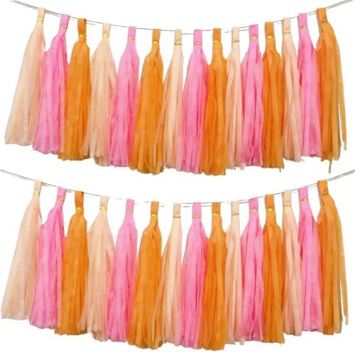 We Moment Pink Orange Peach Tissue Paper Tassels Party Tassel Garland Banner for Birthday Baby Bridal Shower Party Decoration, DIY Kits,15PCS by We+Moment