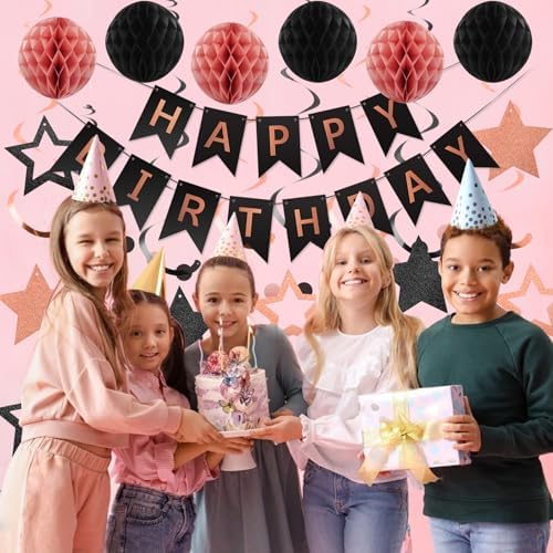 meowtastic Birthday Decorations Happy Birthday Banner with Honeycomb Balls - Image 3