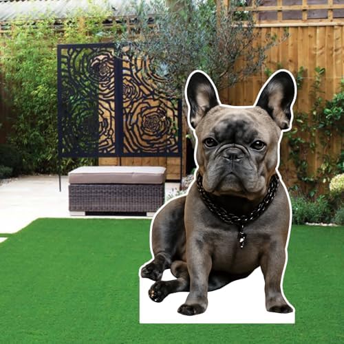French Bulldog 1FT Life Size Cardboard Cutout, 1 PC - Image 4