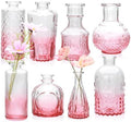 Pink Small Flower Vase Set, Glass Bud Vase in Bulk Set of 8 by Brajttt