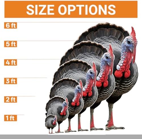 Turkey Life Size Cardboard Cutout 4FT, Animal Standup, 1 PC - Image 2