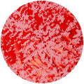 Snowkingdom 24 Pcs Red Placemats, 13 Inch Round Disposable Table Mats with Metallic Foil Mesh Glitter Design, Elegant Party Supplies for Valentine’s Day, Christmas, Wedding, Birthday Dinner Decor by Snowkingdom