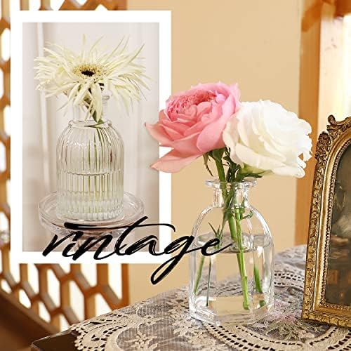 Bud Vases in Bulk 24, Small Glass Vase for Table Centerpieces - Image 2