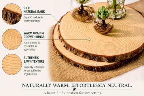 Set of 10 XL (12-14) inch Wood Slices! Wood Slice Centerpieces, Wedding Centerpieces, Thanksgiving Plate Chargers, Wood Slice Plate Chargers, Set of 10 XL (12-14") - Image 3