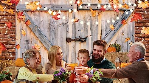 YYNXSY Fall Thanksgiving Backdrop Autumn Pumpkin Harvest 10X10FT YY-2515 - Image 4