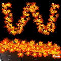 Timer - 2 Pack Fall Garland with Lights Total 20Ft 40LED Battery Operated by TURNMEON