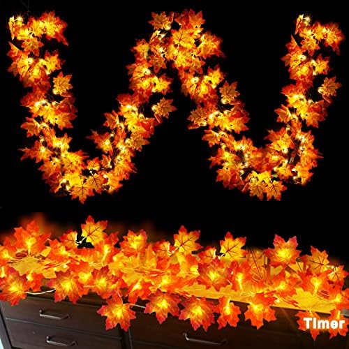 Timer - 2 Pack Fall Garland with Lights Total 20Ft 40LED Battery Operated by TURNMEON