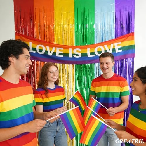 Rainbow Tinsel Streamers Backdrop Party Decorations 8.2ft x 3.2ft 2 Packs - Image 6