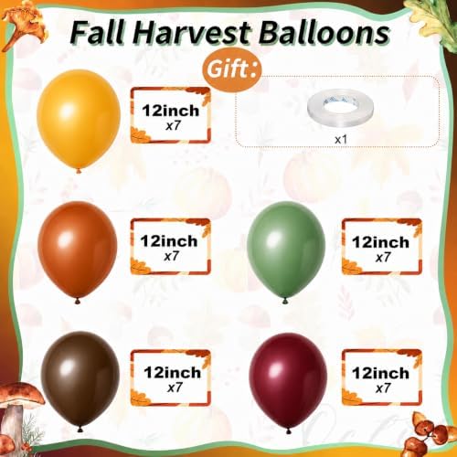 Fall Balloons, Burnt Orange Terracotta Mustard Yellow Burgundy Sage Green Coffee Brown Autumn Fall Color Balloon for Thanksgiving Harvest Safari Baby Shower Woodland Dinosaur Birthday Party Decoration - Image 2